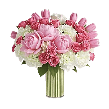 Petal Radiance Bliss