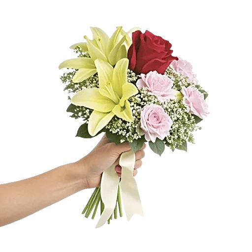 Crimson Rose Elegance