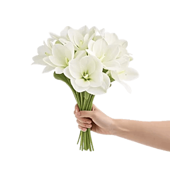 Modern White Orchids