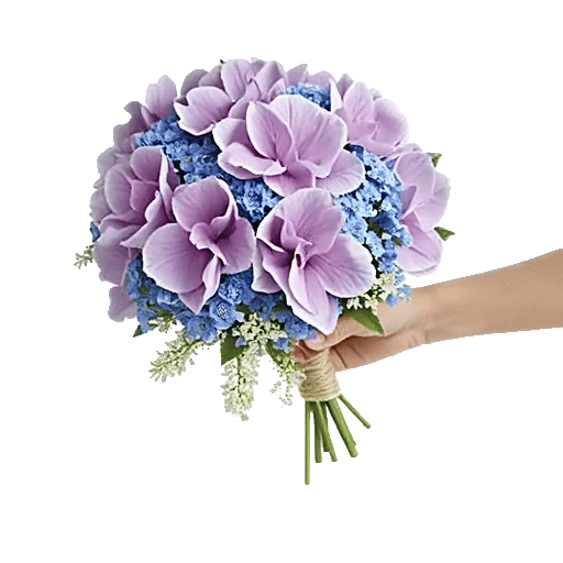 Serene Petal Harmony
