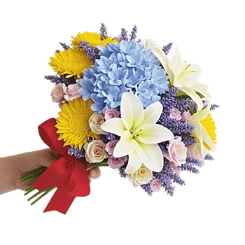 Serene Petal Harmony