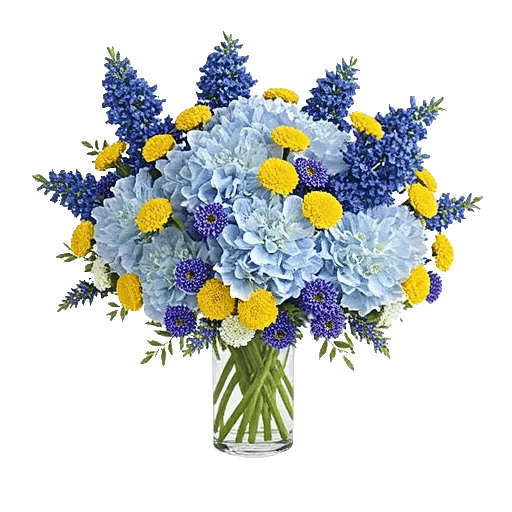 Azure Sky Blooms