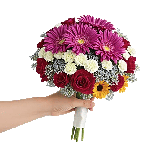 Blushing Rose Symphony