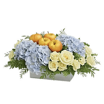 Serene Petal Harmony