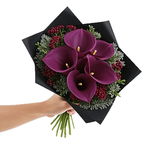 Elegant Calla Lilies