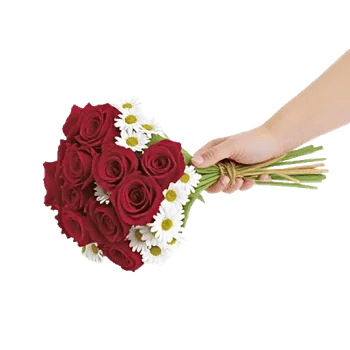 Crimson Rose Elegance