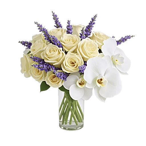 Ivory Blossom Radiance