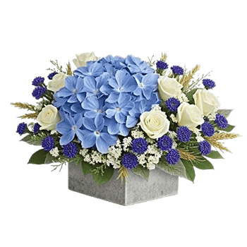 Serene Garden Harmony