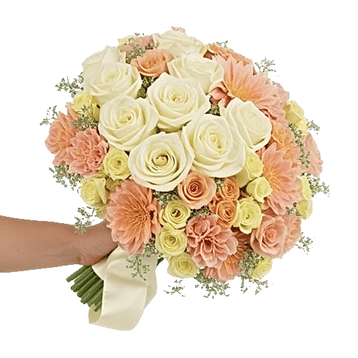Blushing Rose Symphony