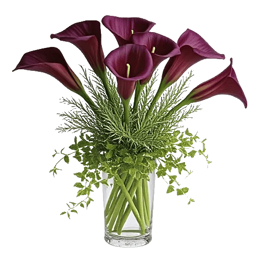 Elegant Calla Lilies