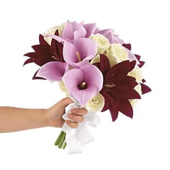 Elegant Calla Lilies