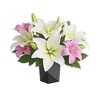 Graceful Lily Display