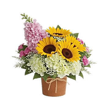 Blush Romantic Centerpiece