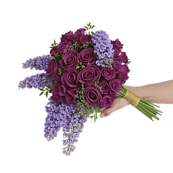 Delicate Petal Cascade