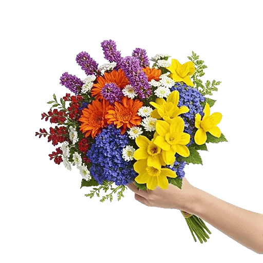 Blossom Harmony Display