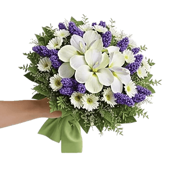 Ivory Garden Grace