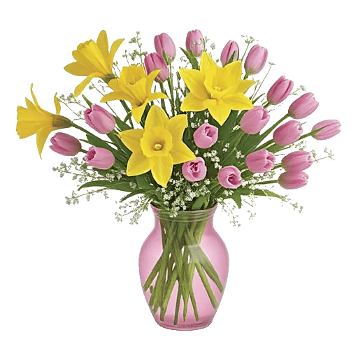 Crisp Spring Blooms