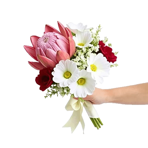 Ivory Blossom Radiance