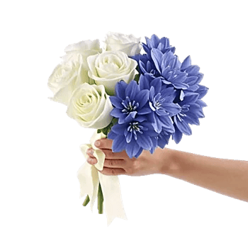 Blossom Petal Serenity