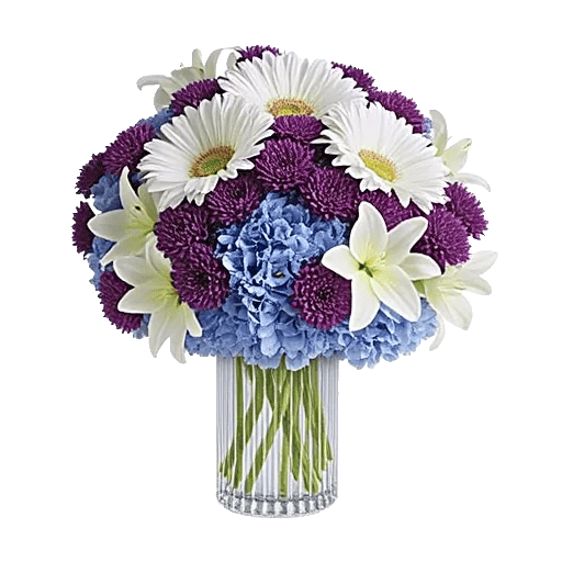 Ivory Blossom Radiance