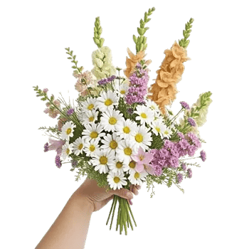 Daisy Meadow Spread
