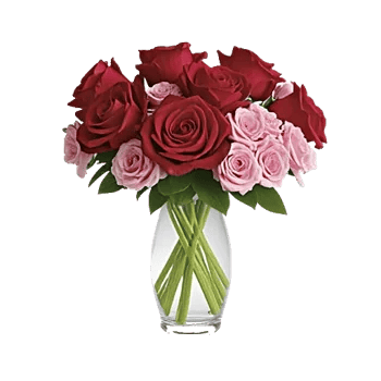 Crimson Rose Elegance