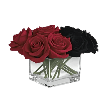 Crimson Rose Elegance