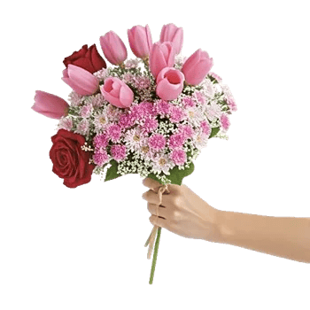 Blossom Harmony Display