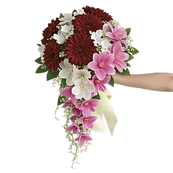 Delicate Petal Cascade