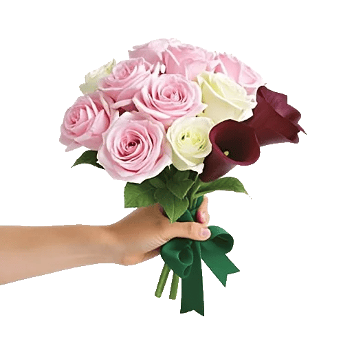 Blushing Rose Symphony