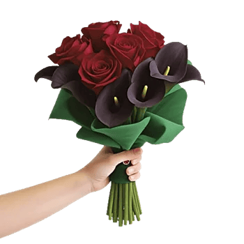 Crimson Rose Elegance