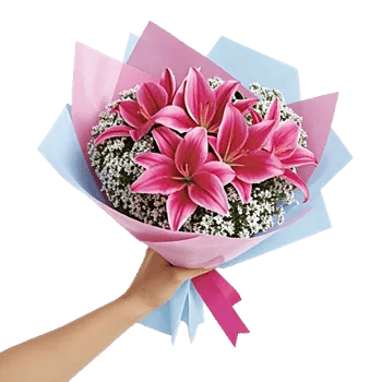 Blossom Petal Serenity