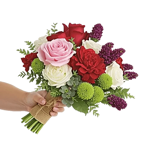 Blushing Rose Symphony