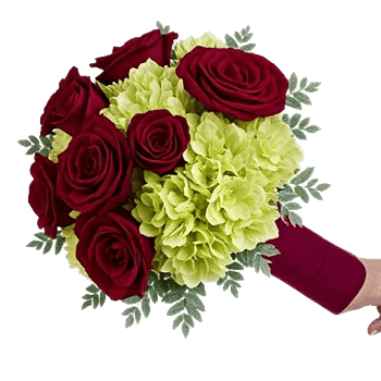 Crimson Rose Elegance