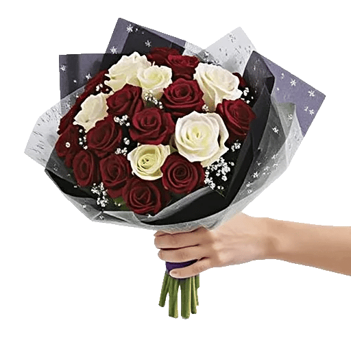 Crimson Rose Elegance