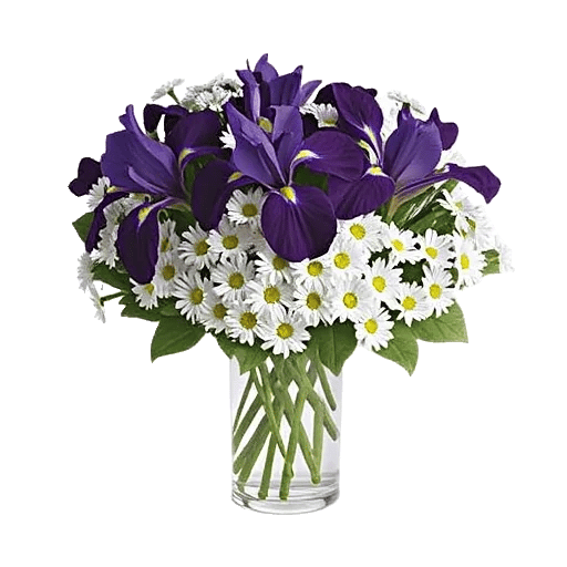 Ivory Blossom Radiance