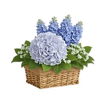 Sapphire Bloom Whisper