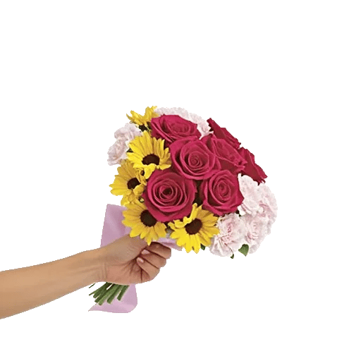 Crimson Rose Elegance