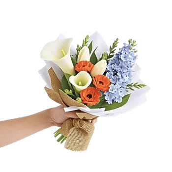 Elegant Calla Lilies