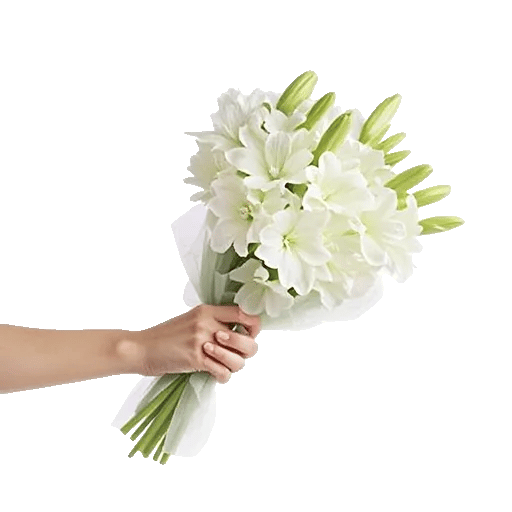 Modern White Orchids