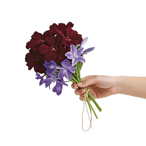 Ivory Blossom Radiance