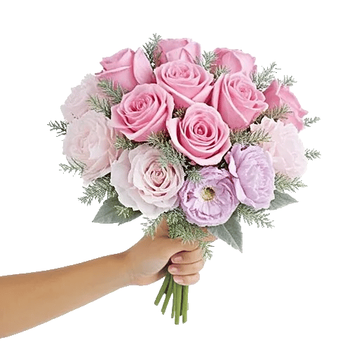 Pastel Pink Roses
