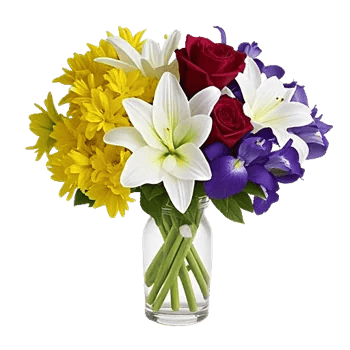 Ivory Blossom Radiance