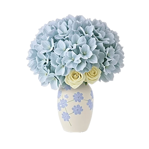 Ivory Blossom Radiance