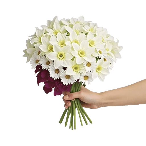 Blossom Harmony Display