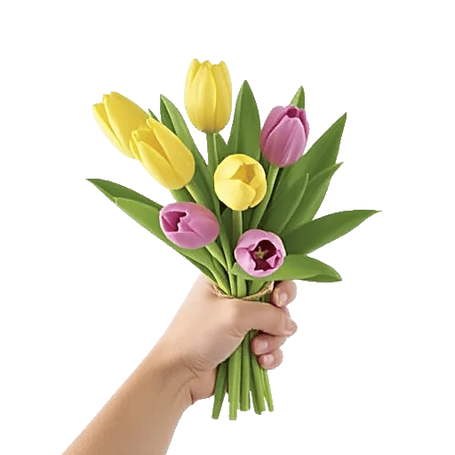 Blossom Harmony Display