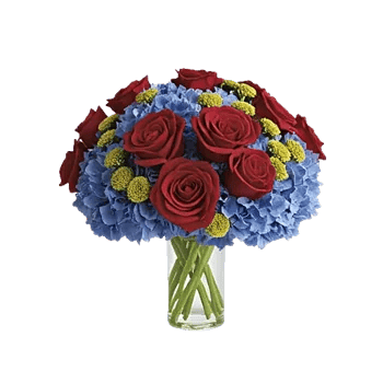 Radiant Rose Symphony