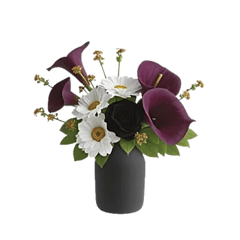 Elegant Calla Lilies