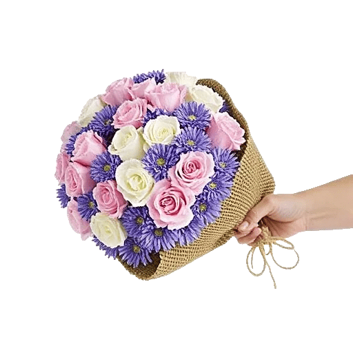 Pastel Pink Roses