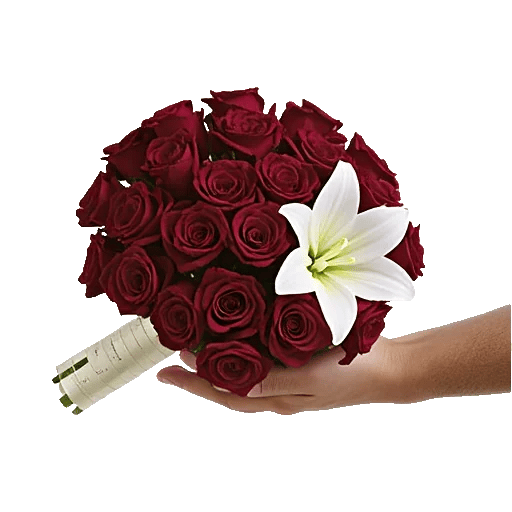 Crimson Rose Elegance